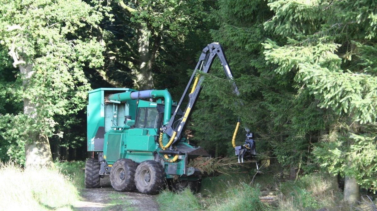 Skovdrift i Danmark ser ud til at gå en lys fremtid i møde, blandt andet takket være den grønne trepartsaftale. Arkivfoto: Vagn I. Pertl