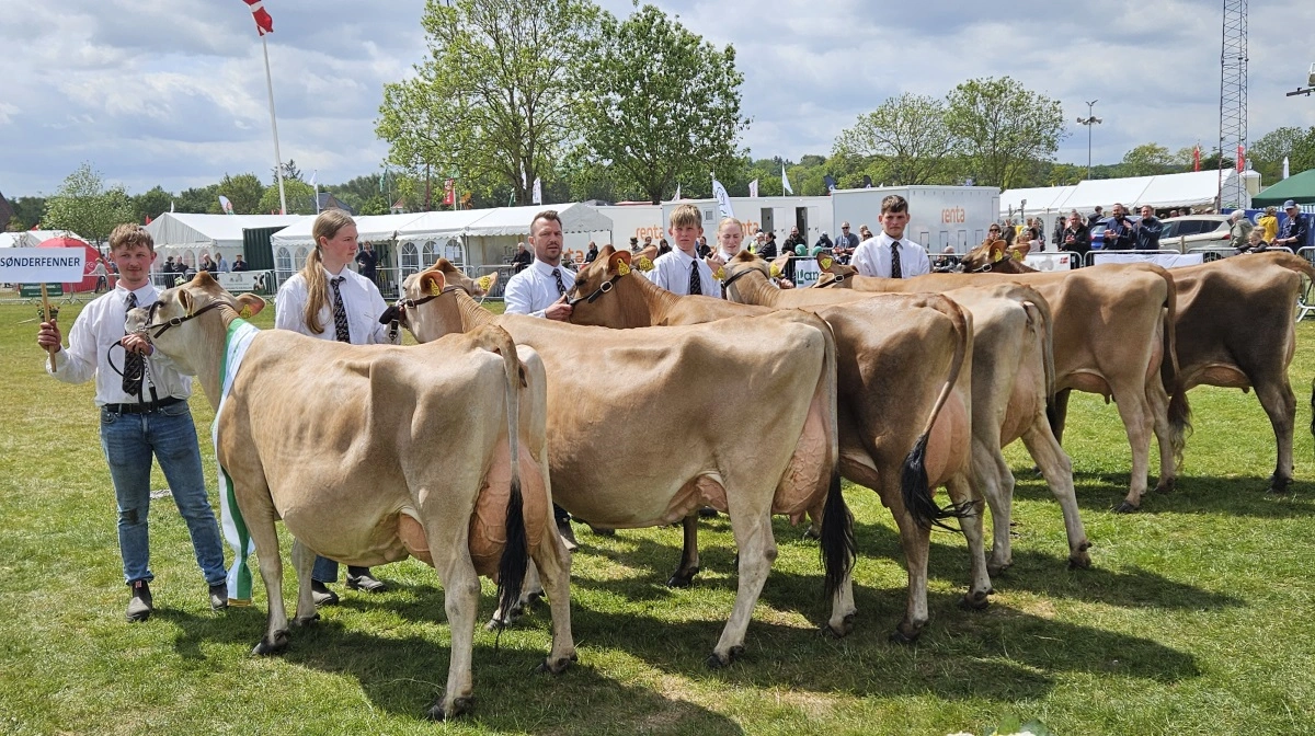 Bedste besætningsgruppe hos Jersey blev også bedste besætningsgruppe på tværs af racerne – gruppen fra Sønnerfenner v/familien Svejstrup Juul Rasmussen, Ø. Vedsted, Ribe. Foto: John Ankersen