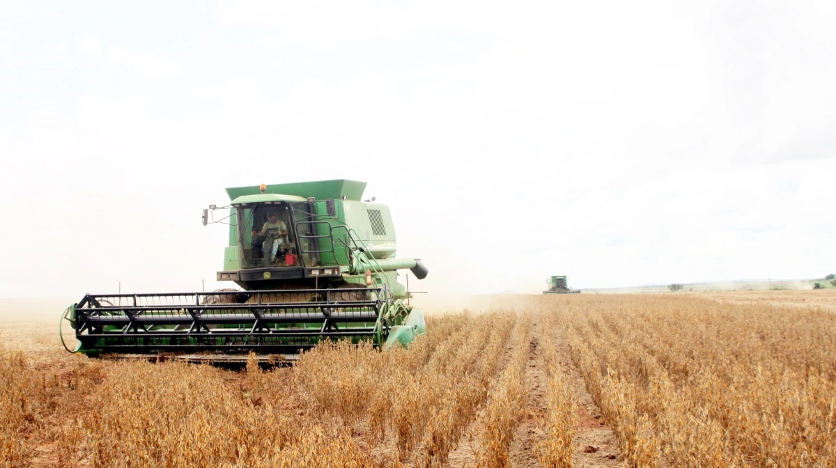 Denne sæsons produktion af soja i Brasilien forventes at runde massive 175 millioner tons. Arkivfoto: Jørgen P. Jensen