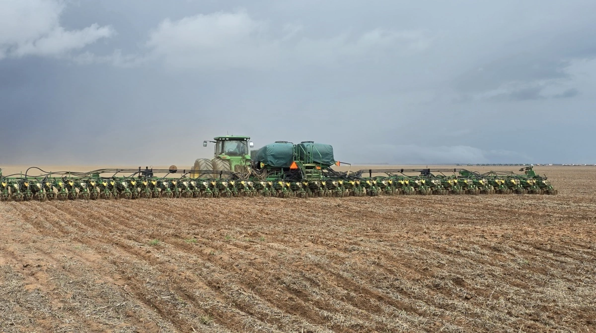 Det er teknologiske landvindinger i landbruget og  udvidelse af det dyrkbare areal i Brasilien, der har ført til mere end en firedobling af den brasilianske produktion af soja. Arkivfoto: Jørgen P. Jensen