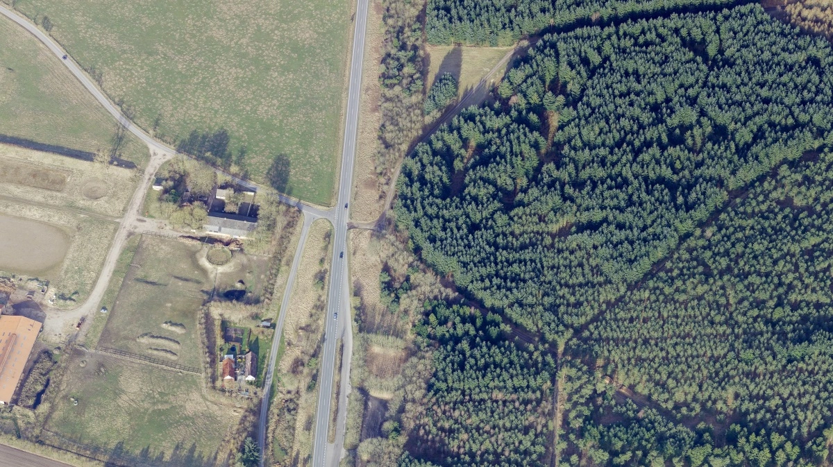 Viegård Stutteri ligger i udkanten af Skals nær Viborg. Foto: Skråfoto/Klimadatastyrelsen