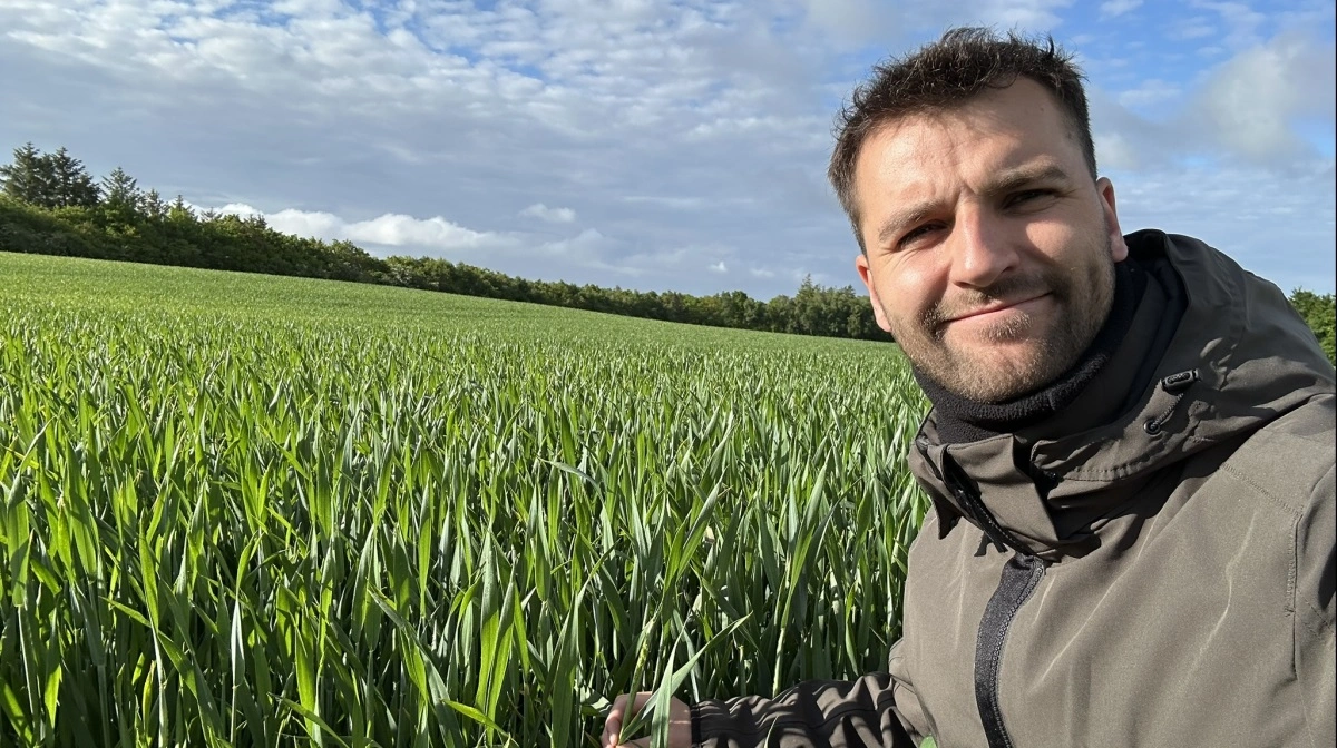 - Den lange tørke har betydet, at udviklingen i svampesygdommen septoria i hvede indtil nu har været relativt begrænset, samtidig med at de fleste landmænd har fået foretaget deres fanebladssprøjtning inden regnvejret, siger Nikolai Sørensen. Men nu er det skiftet. Fotos: Fjordland