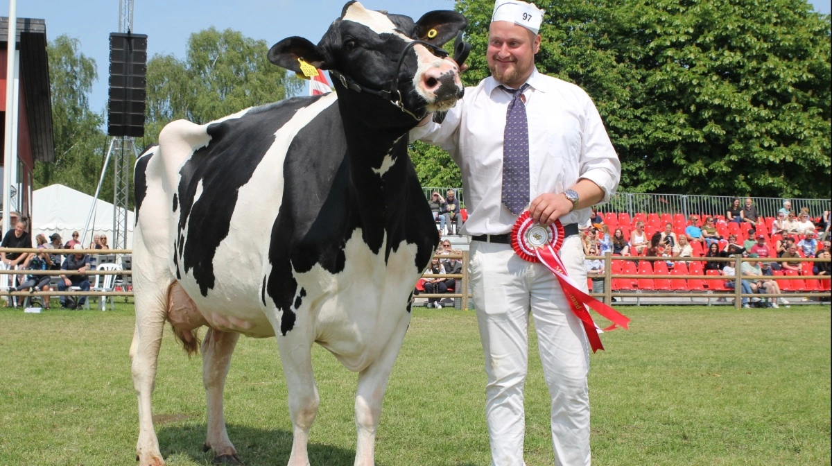 Miss Sjælland – Sjællands smukkeste malkeko:
Holsteinko fra Gert Bülow ved Allindelille nord for Ringsted. Sønnen Rasmus Bülow står her med vinderkoen, der også blev kåret som publikumsfavorit. 
