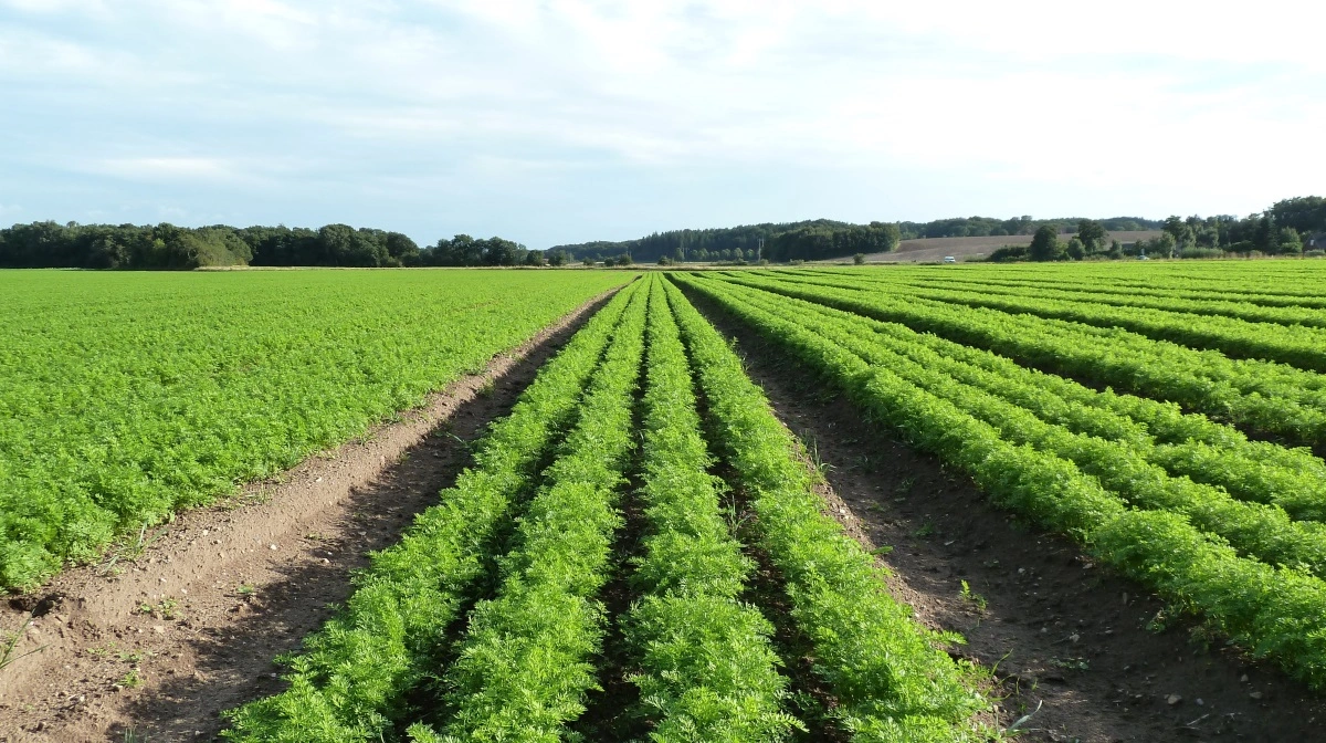 Foto: Djursland Landboforening.