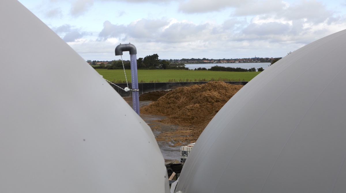 Tidligere borgmester i Kerteminde Kommune, Hans Luunbjerg, har undgået konkurs, men har mistet millioner i redningsforsøget på sit biogasanlæg i Kerteminde, der nu officielt sættes til salg.