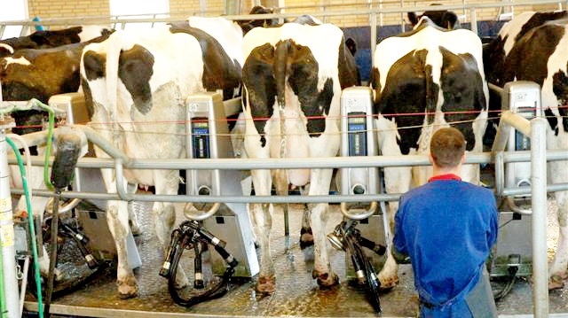 Global efterspørgsel og usikkerhed presser prisen på mejeriprodukter op – og landmænd holder igen med investeringer, lyder det fra ekspert.