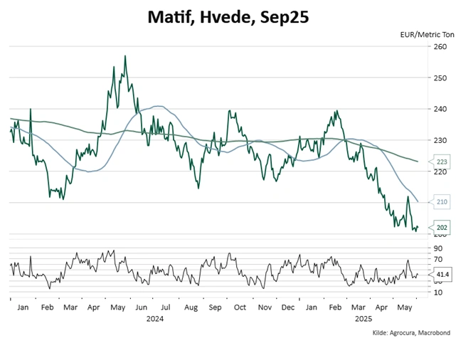 Figur 1: Matif-møllehvede, september 2025. Kilde: Macrobond