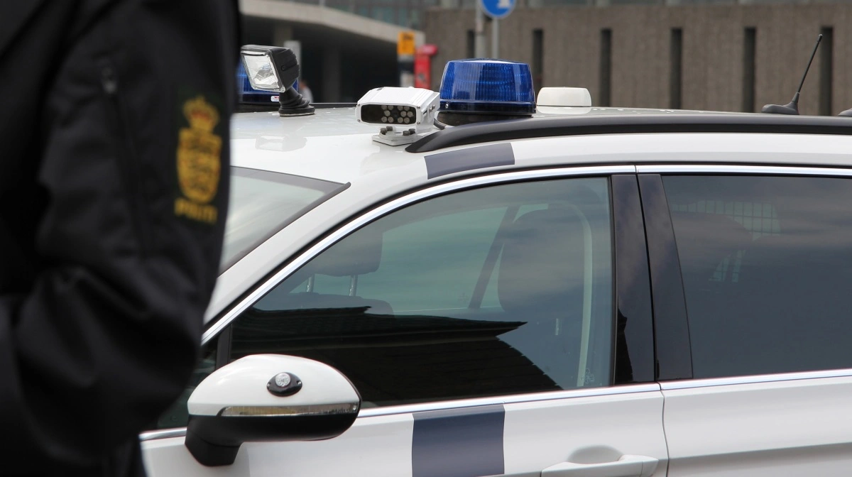 Naturstyrelsen oplyste, at man ville sørge for at få tyrene sikkert tilbage igen. Arkivfoto: Rigspolitiet