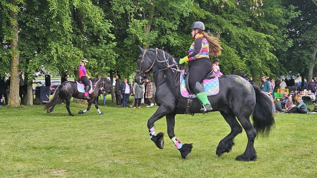 Frieserne viste et imponerende show.