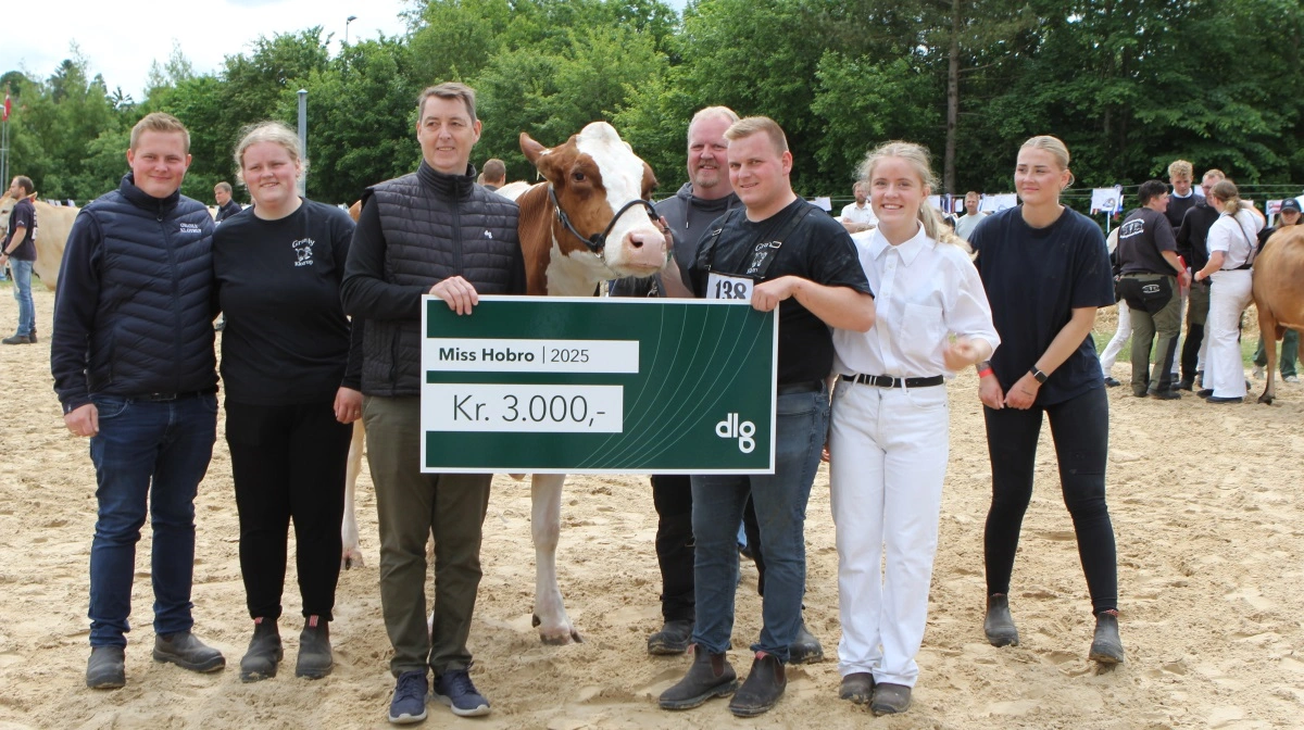 Det blev sjettekalvs KajakP Red-datteren fra familien Hestbæk, Aalestrup, som foruden at blive bedste ældre holstein løb med den ærefulde titel »Miss Hobro«. Fotos: Line Brusgaard