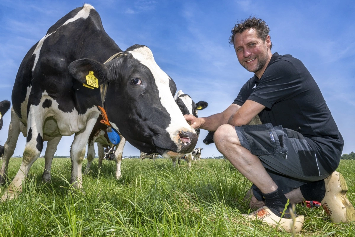 Wim Klaver, landmand og en af ejerne af gårdmejeriet Novelle Kaas, som sikrer sin produktion af råmælksost med raslysering.
