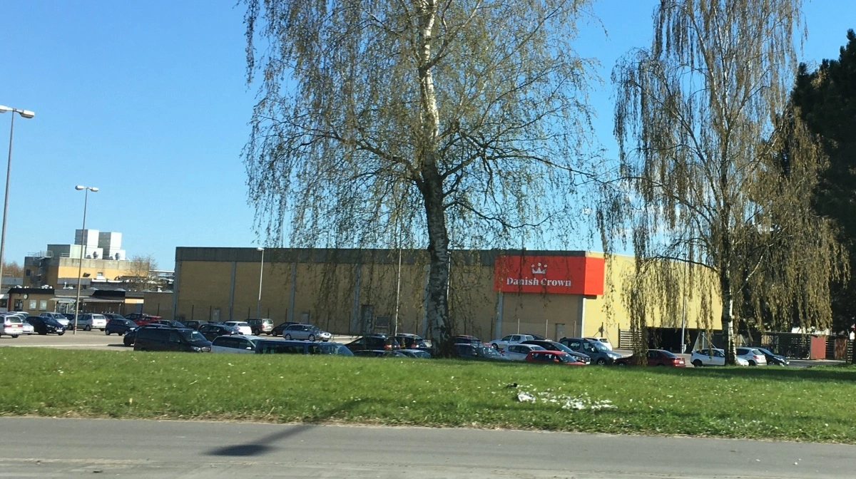 Danish Crowns slagteri i Ringsted. Foto: Wikimedia Commons