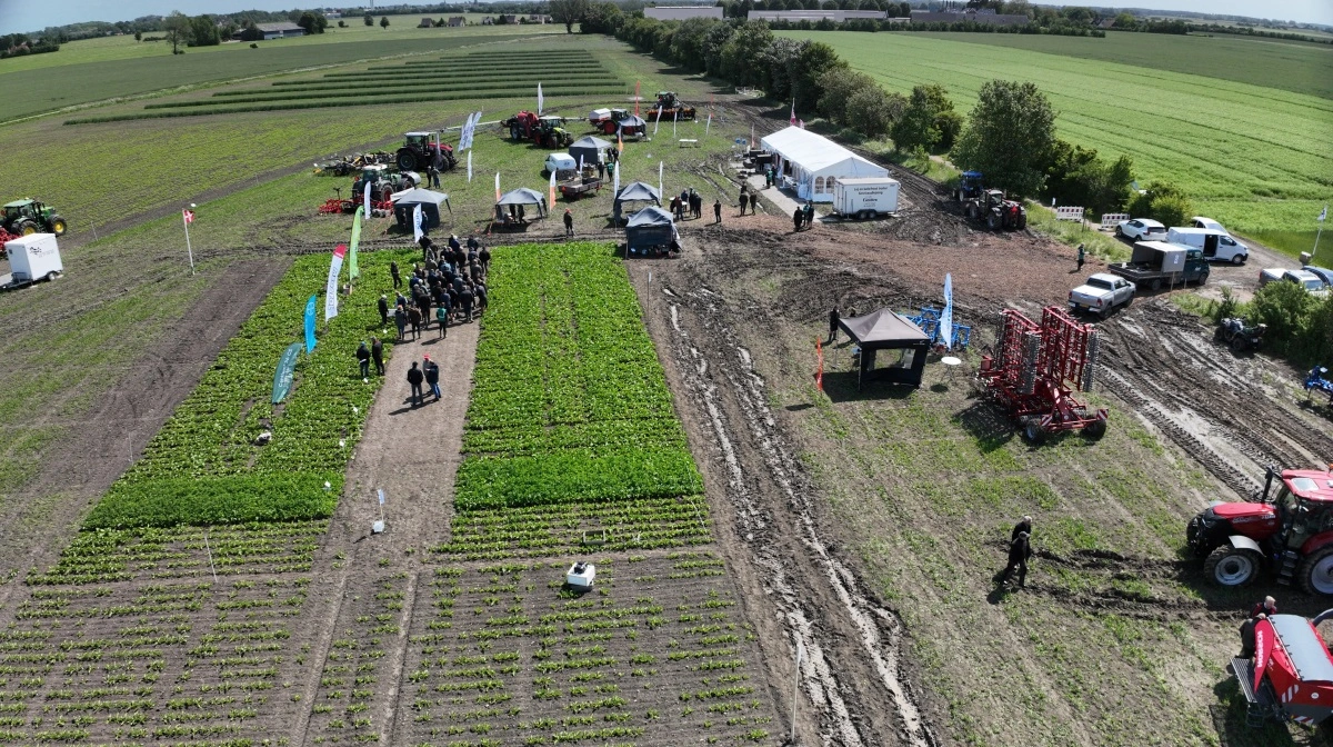 En del af det store forsøgsområde set fra en drone onsdag eftermiddag.