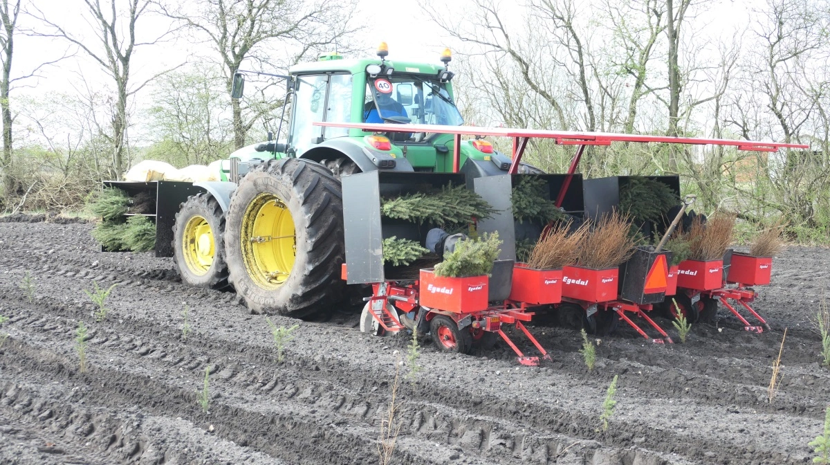 På et regulært og velforberedt areal med toptunet forsyningslogistik af de rette planter i den rigtige rækkefølge kan denne tre-rækkers plantemaskine klare to til fire hektar på en arbejdsdag afhængig af plantetallet pr. hektar. Foto: Bøje Østerlund
