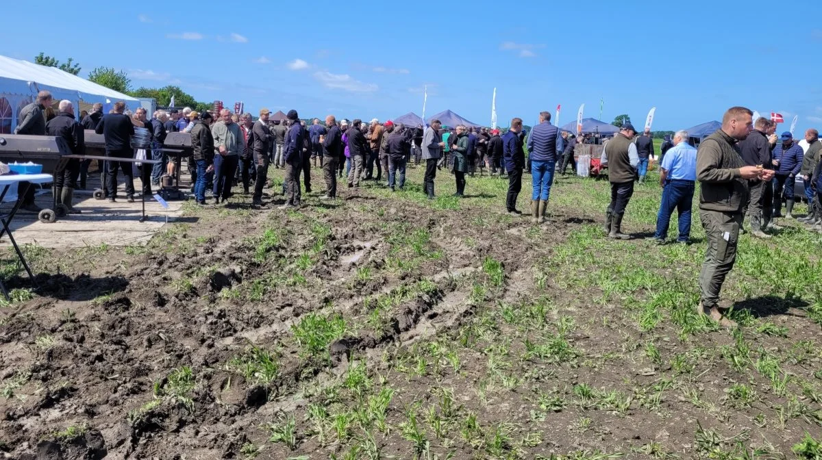 Omkring 350 sukkerroeinteresserede deltog i år i Roedagen - hvilket nok er ny rekord.