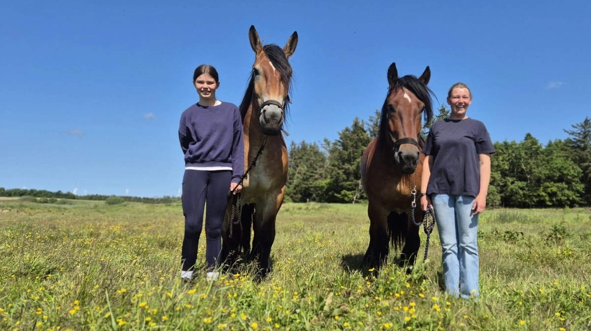 De to hopper, søstrene Ellen og Mie, stiller til bedømmelse på Landsskuet og skal også være med i racens jubilæumsshow. 