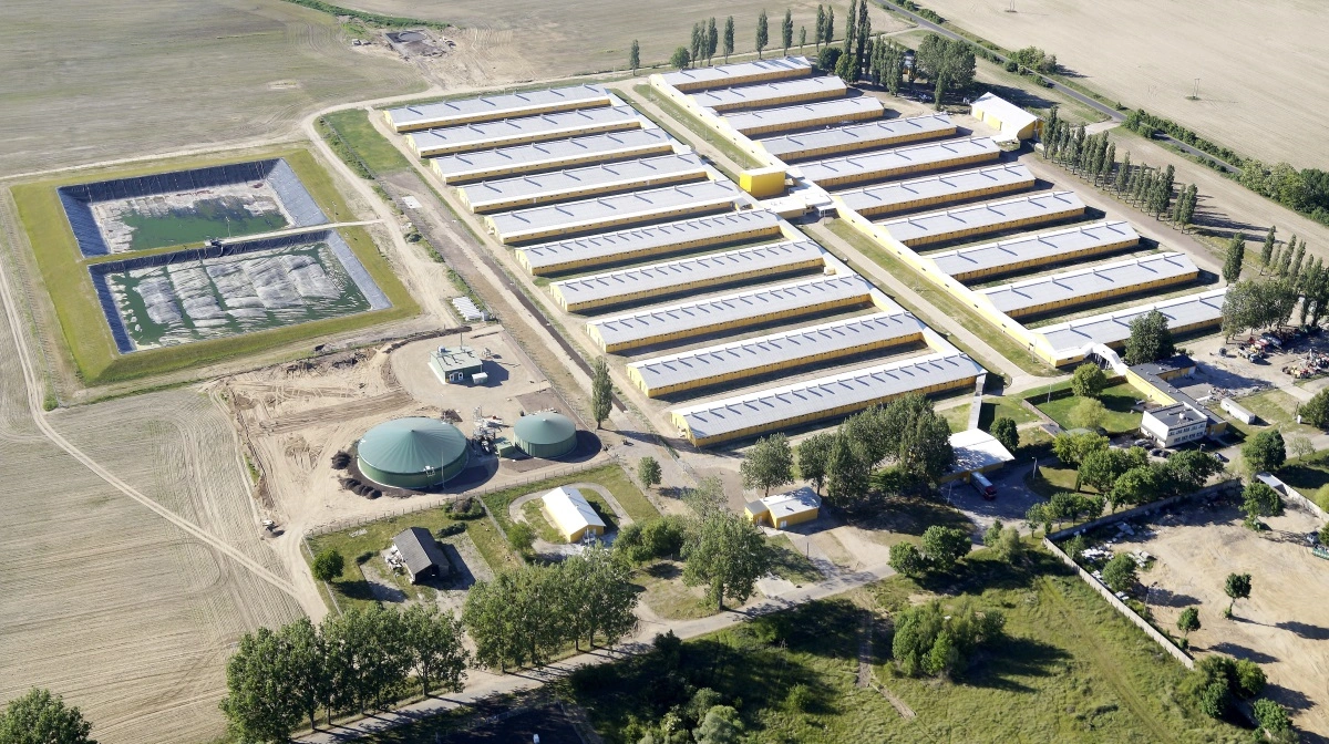 Det danske udlandslandbrug Goodvalley har farme i både Polen og Ukraine. Arkivfoto