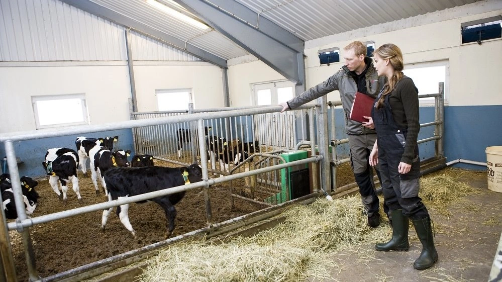 Har man folk gående på gården, som ikke er ansatte, men som arbejder under eget CVR-nummer, og hver måned sender en faktura for arbejdet, er der grund til at være opmærksom. Foto: Colourbox