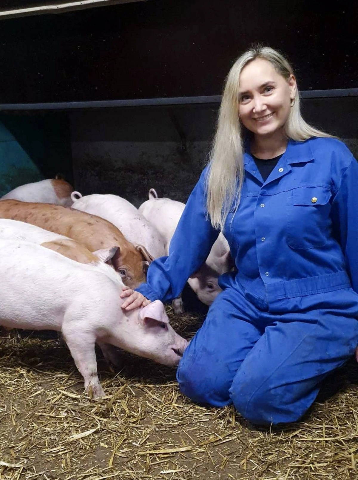 Elvira Sattarova fra Aarhus Universitet forsker dedikeret i, hvor meget metan grise udleder via sine prutter. Foto: Morten Maigaard, Aarhus Universitet