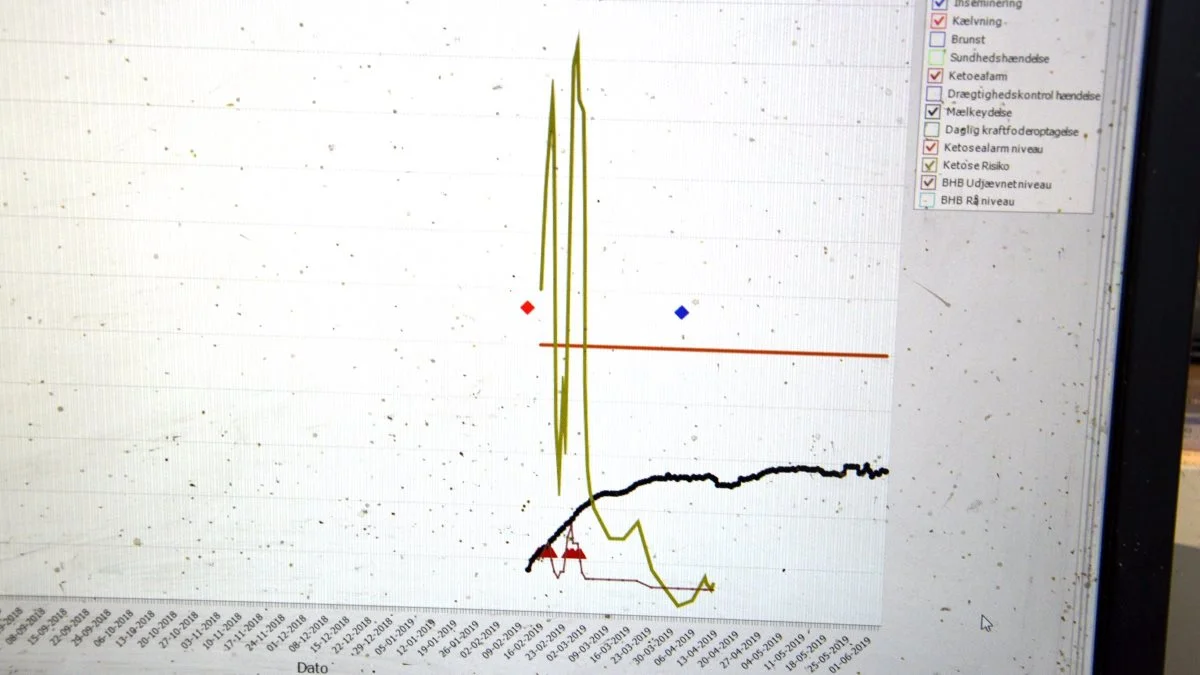 Herd Navigator overvåger automatisk BHB (beta hydroxybutyrat) i mælken og kan blandt andet efter kælvning diagnosticere subklinisk ketose. På skærmen ses et eksempel, hvor BHB er røget op på et niveau langt over niveauet for en ketosealarm, men hvor det efter tildeling af en rumen-bolus efter fem-syv dage igen er faldet til et normalt niveau. 