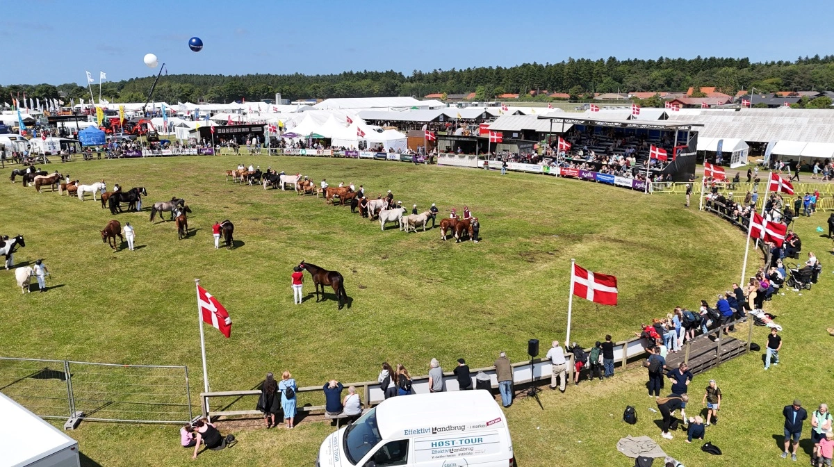 Foto: Per Jørgensen