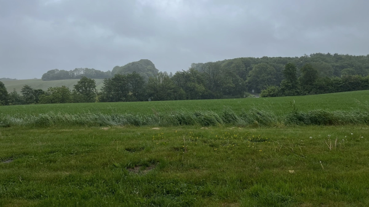 Der dyrkes vårbyg, vinterbyg, raps, hvede, hestebønner og havre på familien Juul Eggersgaards jorde udenfor Tørring.