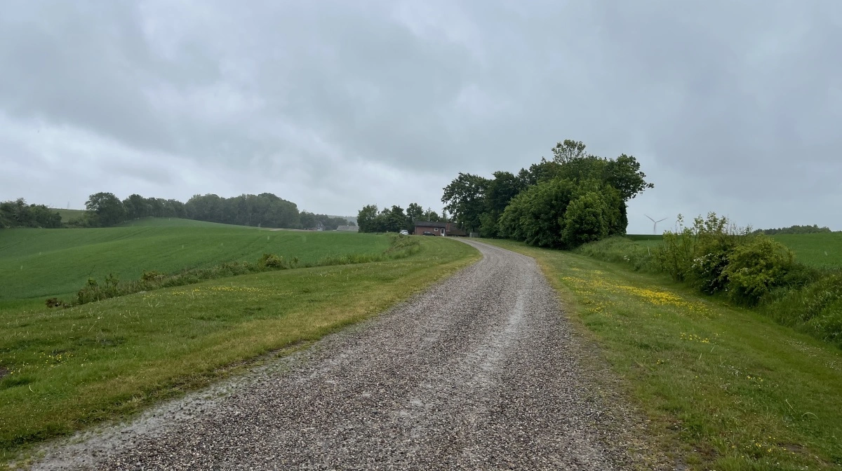 Indkørslen set oppe fra hovedvejen. Jorden i området er ifølge den lokale landmandsfamilie både stiv, kold og kuperet.