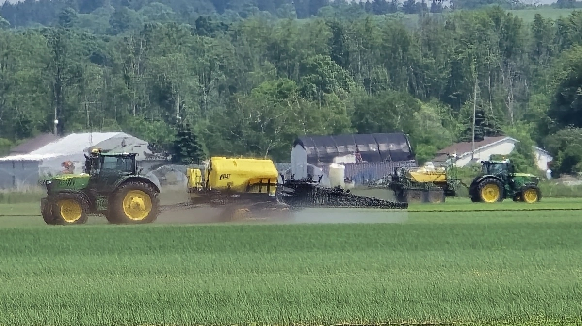 Her midt i juni er sprøjtningen i fuld gang, og der er ikke mangel eller særlige restriktioner på pesticiderne.