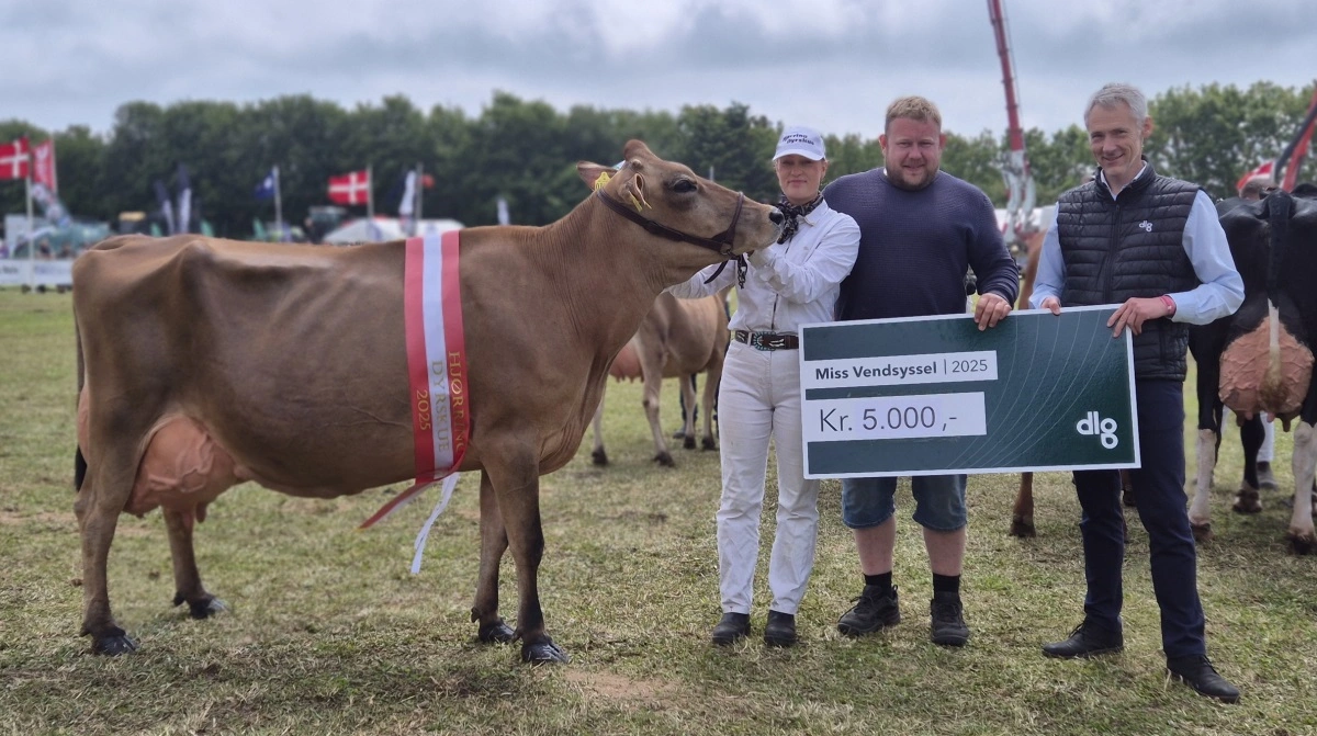 Det blev en VJ Hilux-datter fra Christoffer Østergaard Sunesen, Aars, som vandt titlen Miss Vendsyssel 2025. Fotos: Tenna Bang
