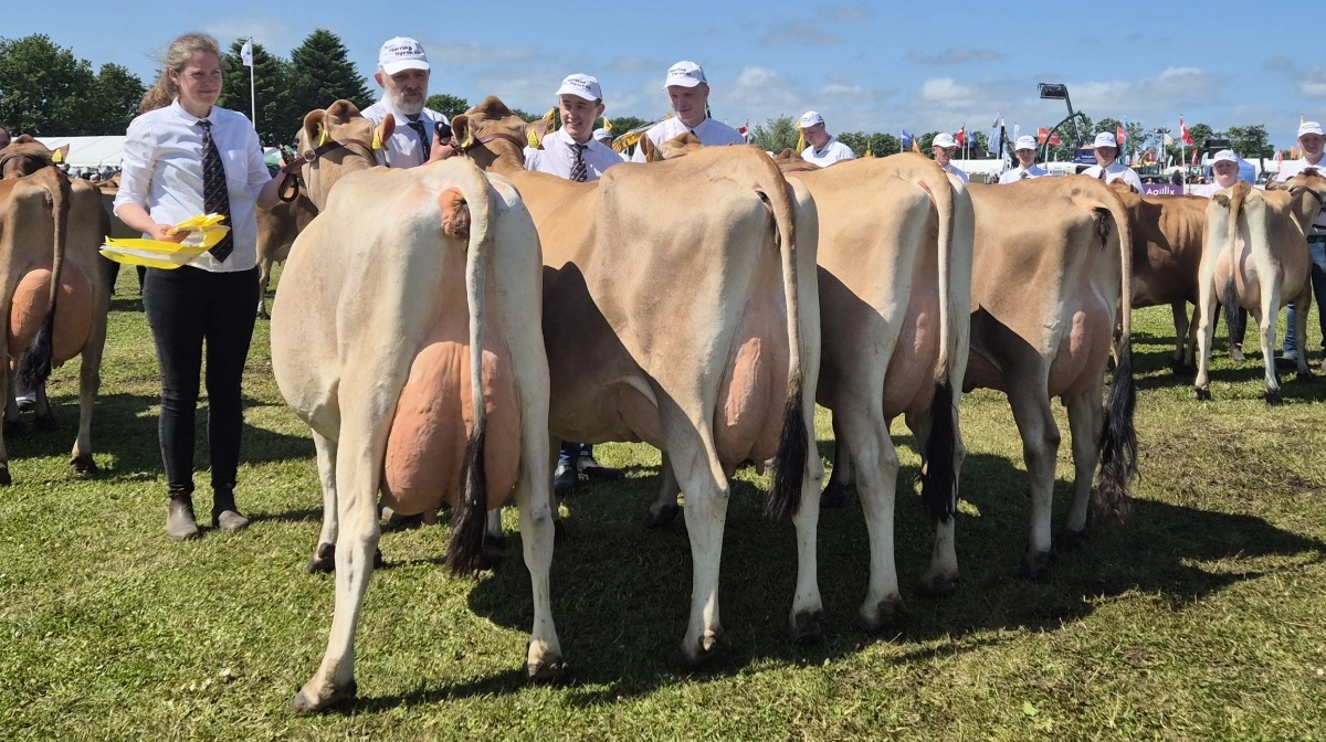 Bedste jersey-besætningsgruppe, bedste malkekvægsbesætningsgruppe og bedste interbreed besætningsgruppe: Alstrup I/S, Brønderslev.