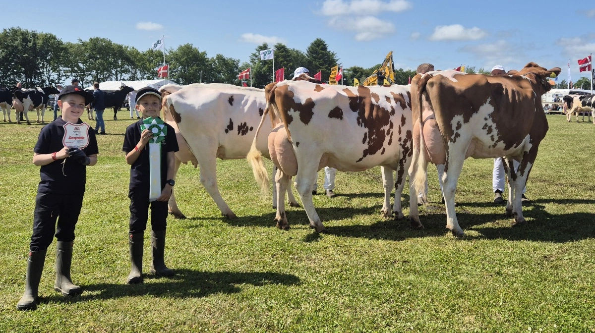 Bedste DRH-besætningsgruppe: Borup Holstein, Vrå.