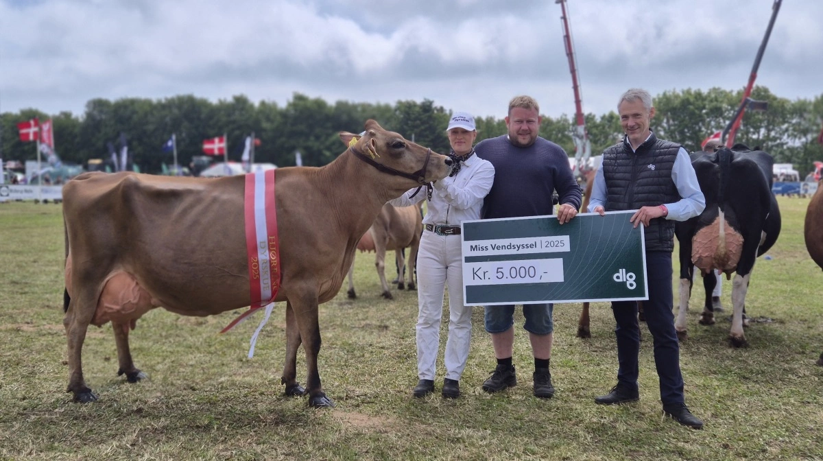 For første gang på Hjørring Dyrskue, var det den unge Christoffer Østergaard Sunesen, Aars, der kunne tage Miss Vendsyssel 2025 med hjem. Han modtog 5.000 kroner af DLG. Fotos: Tenna Bang