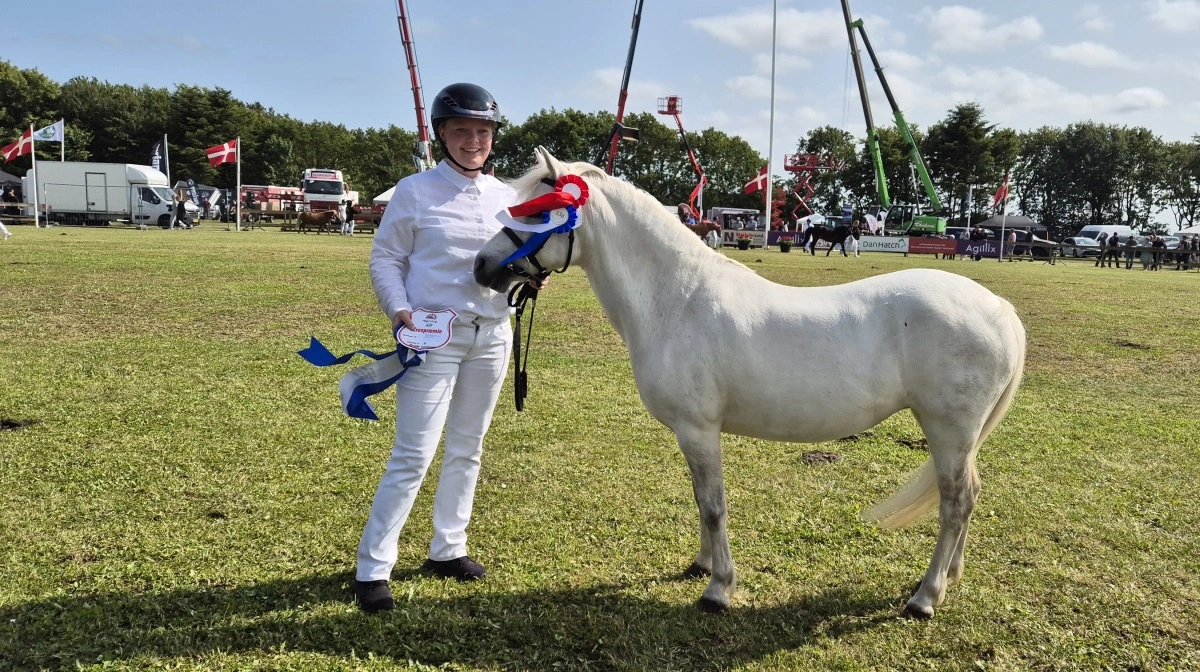 Bedste goldhoppe: Welsh pony sec. A, Gribsvad Piaf fra Camilla Ullerup, Hjørring.