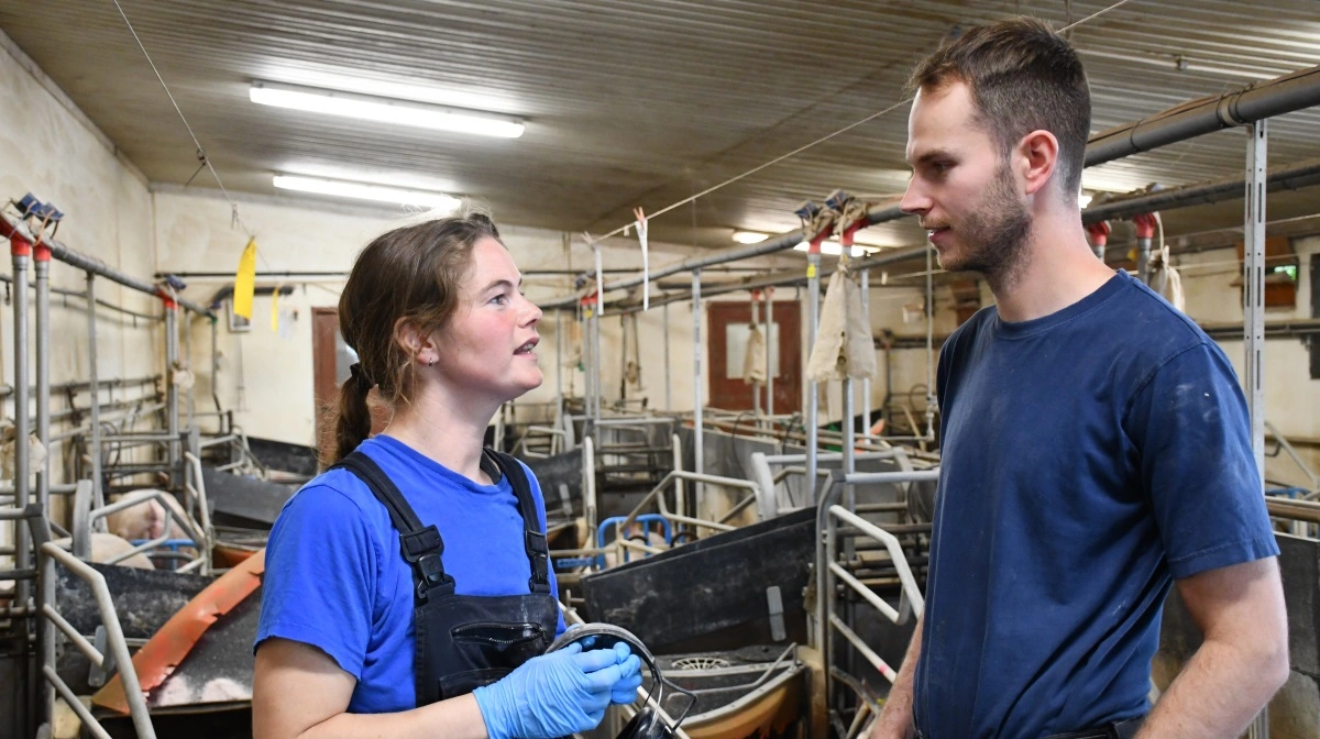 - Jeg kører det hele meget på tillid. Hvis tilliden ikke er der, så er jeg også hurtig til at få lavet en bytter i teamet, fortæller Jacob Wildenschild, der her ses i snak på staldgangen med Charlotte Daabeck, der var elev på gården i 2021, men i dag arbejder på deltid i stalden ved siden af andet arbejde. Fotos: Camilla Bønløkke
