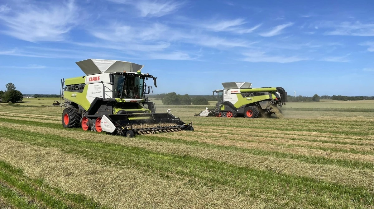 Thomas Jørgensen forventer, at de to nye Claas Lexion 8800 TT kan æde sig gennem 20 hektar engrapgræs om dagen. Foto: Hestehavegaard