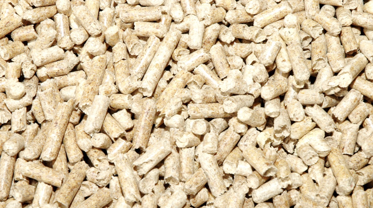 Med lave handelspriser og global geopolitisk usikkerhed har CM Biomass udvist robusthed i 2024/25. Ved at styrke organisationen og værdikæder har den danske biomasse-virksomhed fastholdt sin salgsvolumen på 3,7 millioner ton i det forgangne regnskabsår og kan præsentere et trecifret millionresultat.
