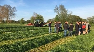 To ud af tre unge på landet mellem 15 og 25 år ser en fremtid, hvor de bor. Foto: LandboUngdom