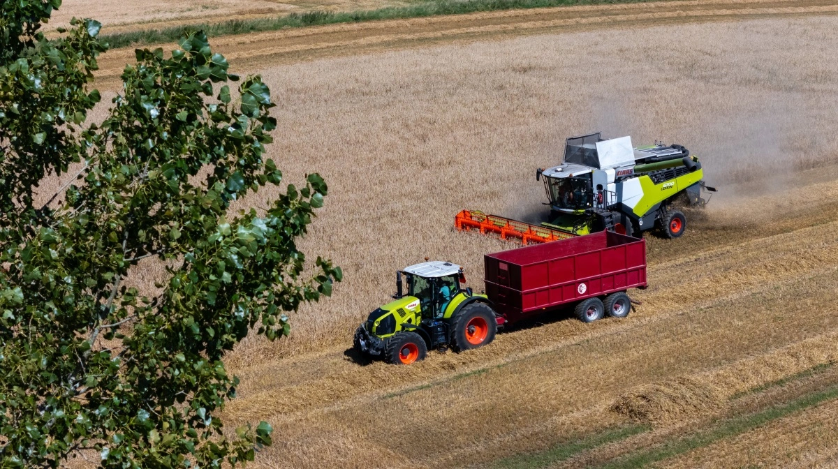 CLAAS AXION og LEXION i effektivt samspil under høsten på Molbo Agro – bæredygtighed og driftssikkerhed i praksis.