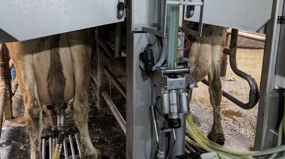 Efter et år med store tab og særlige omkostninger melder BouMatic A/S om nye sparetiltag og forventninger om overskud i 2025.