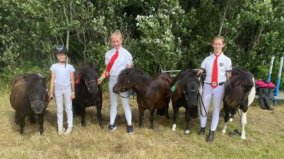 Fra Ribe Dyrskue 2021 – fem ponyer fra Team Stutteri Rubinke - Sofia Pedersen, Louise Pedersen og Ida Olesen hjalp med klargøring og fremvisning.