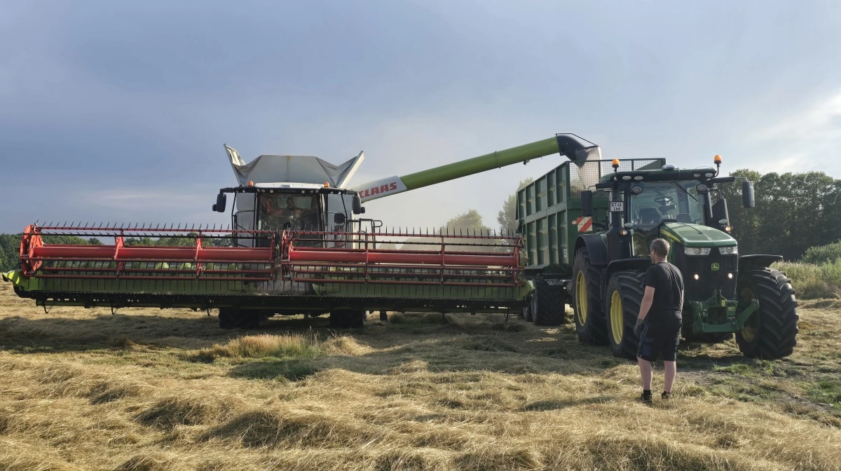 - Vi ligger på 2.100 kg/ha i denne rødsvingel af sorten Benji med en vandprocent på 14,1 målt sidst, vi kørte. Det er rigtig fint og over det normale, fortæller Anders Dall.