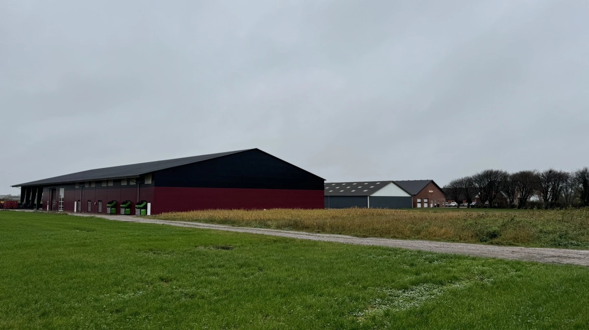 Certificerede læggekartofler udgør en større og større del af produktionen på Vejgaarden, som har egne faciliteter til sortering og lagring.