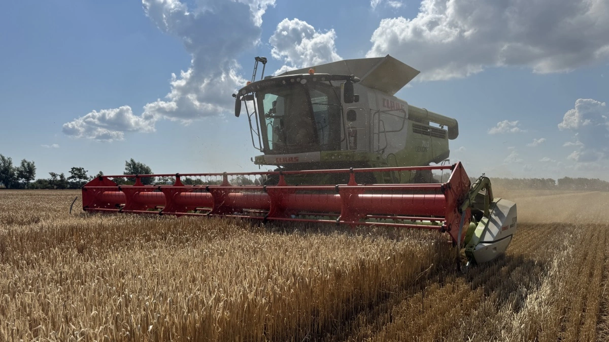 Claas Lexion 760'eren skal høste 560 hektar på Eriksminde i år, her er vinterbyggens tidlighed med til at tage presset af senere på sæsonen. Fotos: Kasper Stougård 