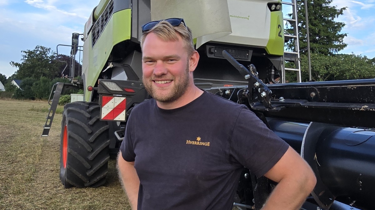 - Det har bare kørt uden problemer. Men hvidkløverfrøet skal nok over tørreriet, fortæller Rasmus Østergaard i den varme sommeraften i søndags, mens hans kolleger var i gang med at afmontere skærebordene til transport knap 50 kilometer fra Bårdesø på Nordfyn til Hverringe gods på Østfyn.