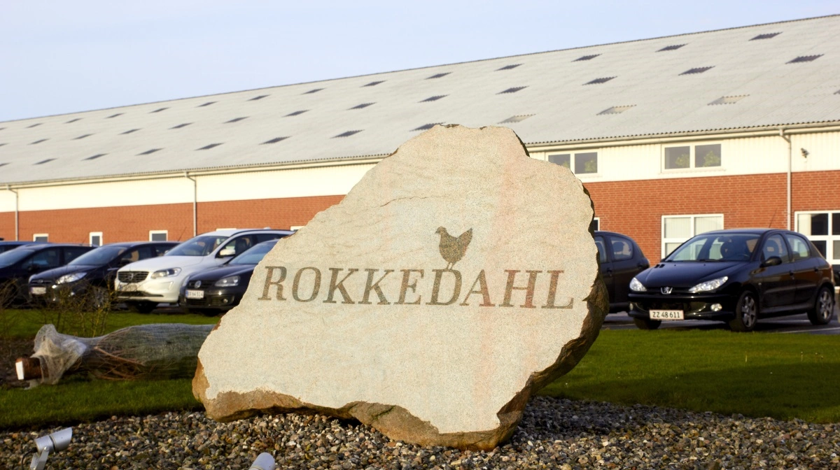 Rokkedahl-koncernen har siden 1963 opdrættet velfærdskyllinger i Nordjylland. Arkivfoto: Tenna Bang
