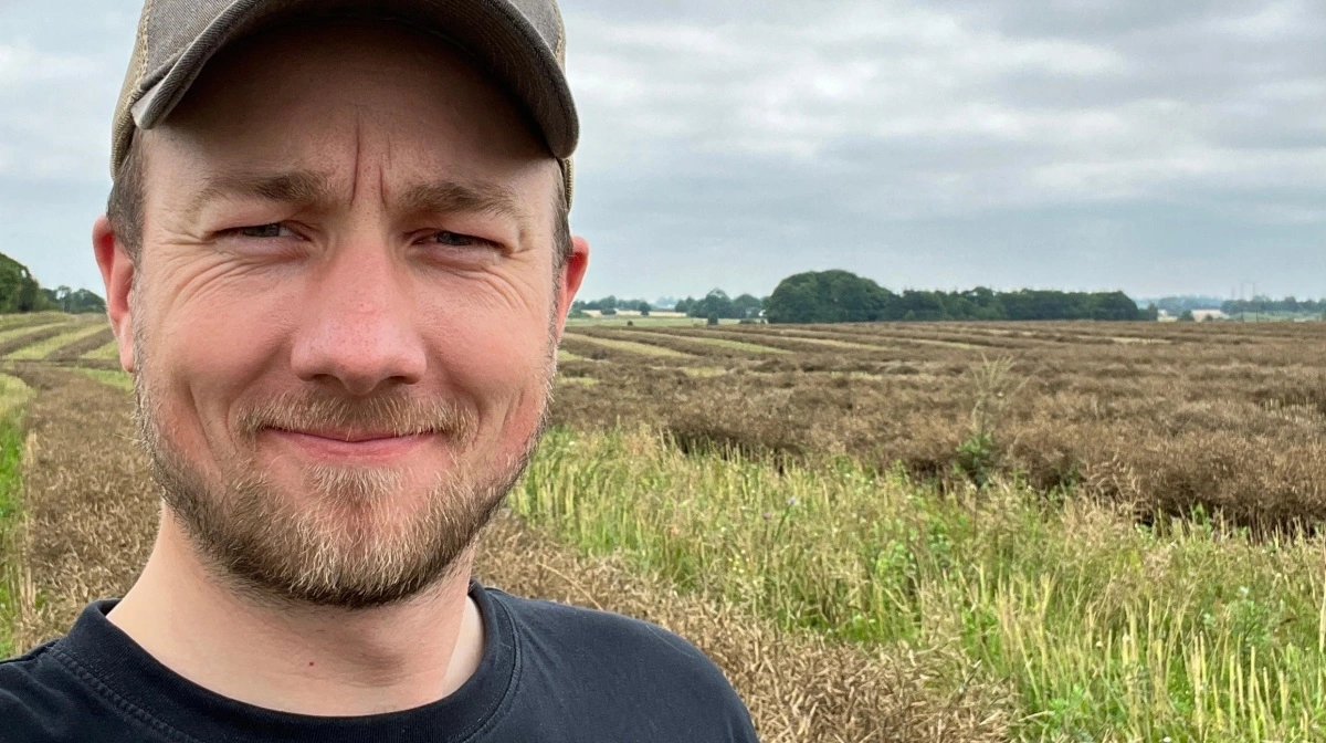 Fredag middag konstaterer Sebastian Kudsk, at det ikke bliver muligt at høste videre i de økologiske hvidkløverfrø. - I stedet vil vi prøve til i noget spelt-hvede, fortæller han.
