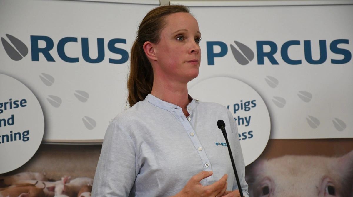 Ifølge dyrlæge Sanne Leth, Porcus, er der mulighed for med blodprøver at tjekke, hvor mange af råmælksantistofferne der er kommet over fra so til pattegrise. Fotos: Camilla Bønløkke