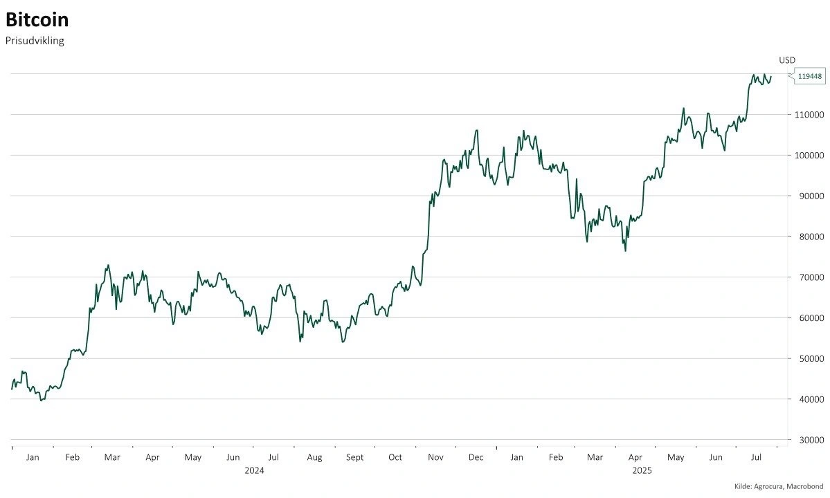 Udvikling i kursen på bitcoin siden januar 2024.