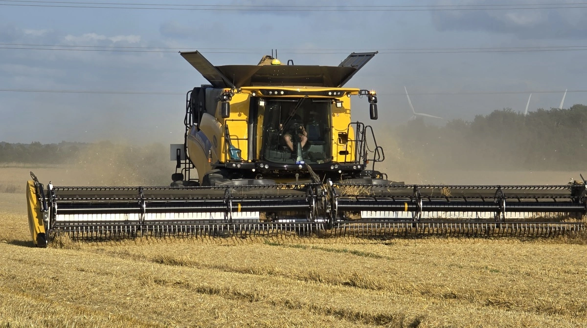 Den store New Holland 1090 med 40 fods MacDon-skærebord netop er startet med at høste den yderste omgang.