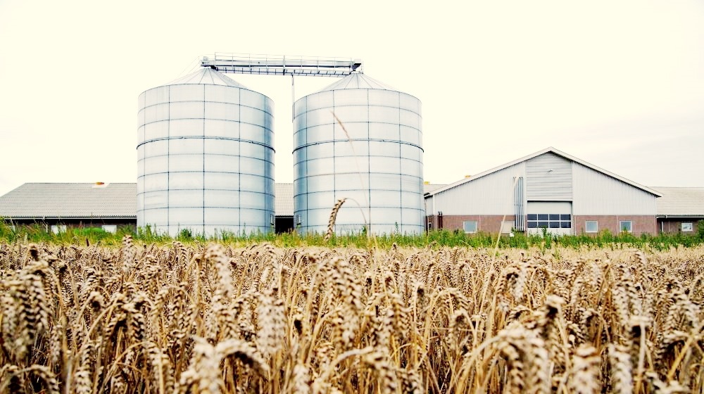 Højt aktivitetsniveau og færdiggørelse af en bred række projekter har sikret den randrusianske producent af stålsiloer, Assentoft Silo A/S mere end en tredobling af bundlinjen.